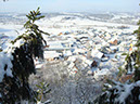 DSC04286